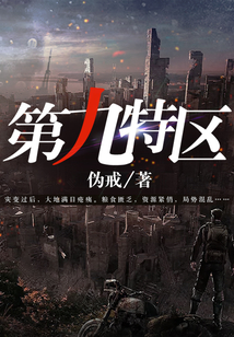 The Ninth Special District cover