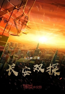 長安雙探