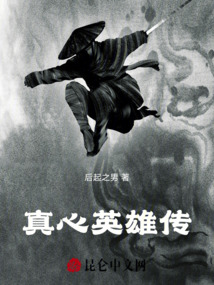 真心英雄傳