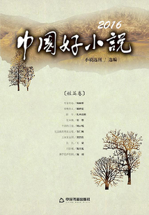 2016中國好小說（短篇卷）