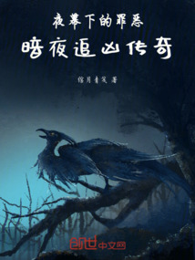 夜幕下的罪惡：暗夜追兇傳奇