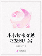 小卡拉米穿越之整顿后宫在线阅读