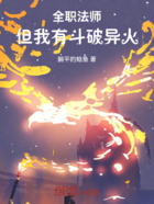 全职法师:但我有斗破异火在线阅读