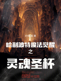 哈利波特魔法覺醒之靈魂圣杯