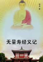 無量壽經(jīng)義記在線閱讀