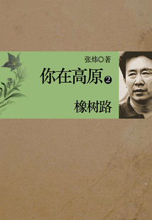 你在高原2：橡樹路