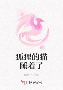 狐貍的貓睡著了