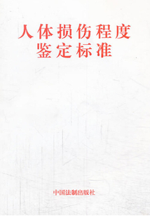 人体损伤程度鉴定标准（2013年版）