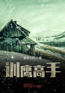 訓鷹高手