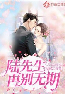 陸先生，再別無(wú)期