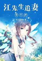 江先生追妻寵不停在線閱讀