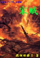 宋賊在線閱讀