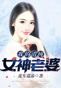 我的清纯女神老婆在线阅读