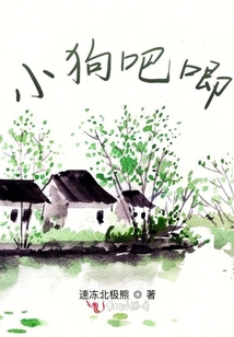 無主之狗