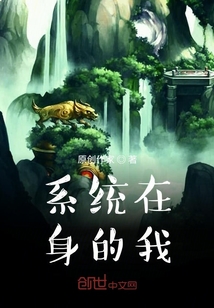 系統在身的我