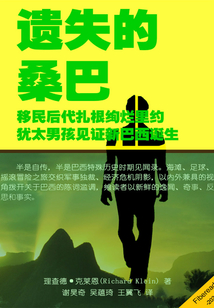 遗失的桑巴