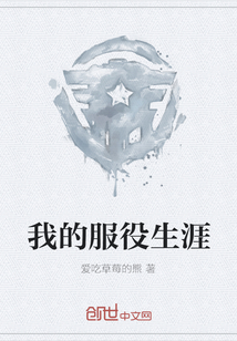 我的服役生涯
