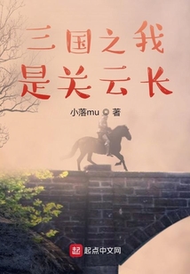 三國之我是關云長