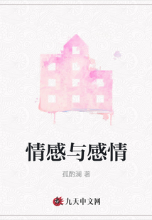 情感與感情