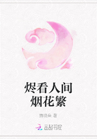烬看人间烟花繁
