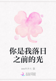 你是我落日之前的光