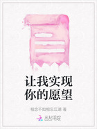 让我实现你的愿望在线阅读