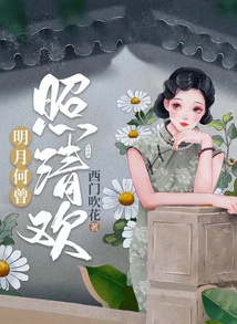 明月何曾照清歡：嫁給殘疾少帥
