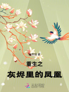 重生之灰烬里的凤凰在线阅读