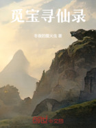 觅宝寻仙录在线阅读
