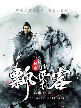 风雨飘零客在线阅读