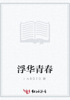 浮华青春在线阅读