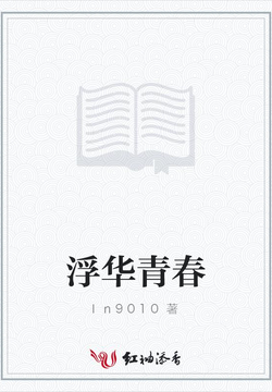 浮华青春 封面