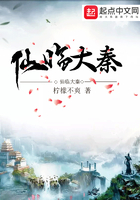仙临大秦