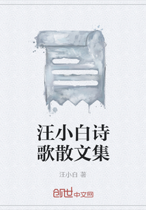 汪小白詩歌散文集