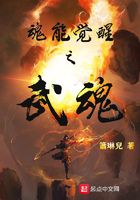 魂能覺醒之武魂在線閱讀