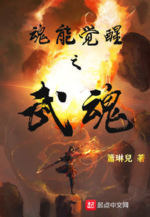 魂能覺醒之武魂