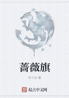 蔷薇旗在线阅读