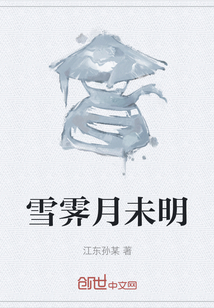 雪霁月未明