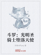 斗罗:光明圣骑士堕落天使在线阅读