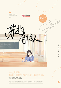 蘇北有佳人