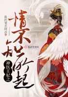 神醫王妃之情不知所起在線閱讀