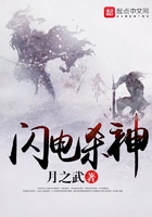 閃電殺神在線閱讀
