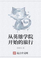 从英雄学院开始的旅行