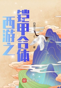 西游之铠甲合体