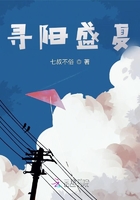 尋陽盛夏在線閱讀