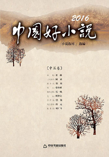 2016中國好小說（中篇卷）