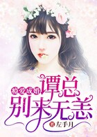 瘾爱成婚:谭总,别来无恙