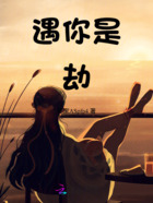 遇你是劫在线阅读