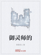 御灵师的在线阅读