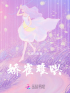 娇雀难哄在线阅读